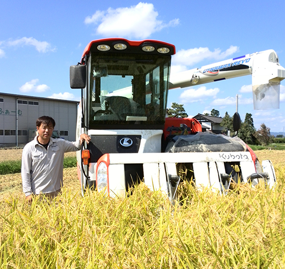 みどりふぁーむ稲刈り